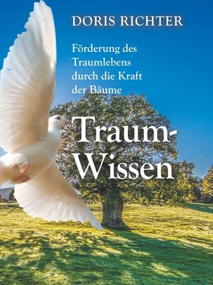 cover image of Traum--Wissen